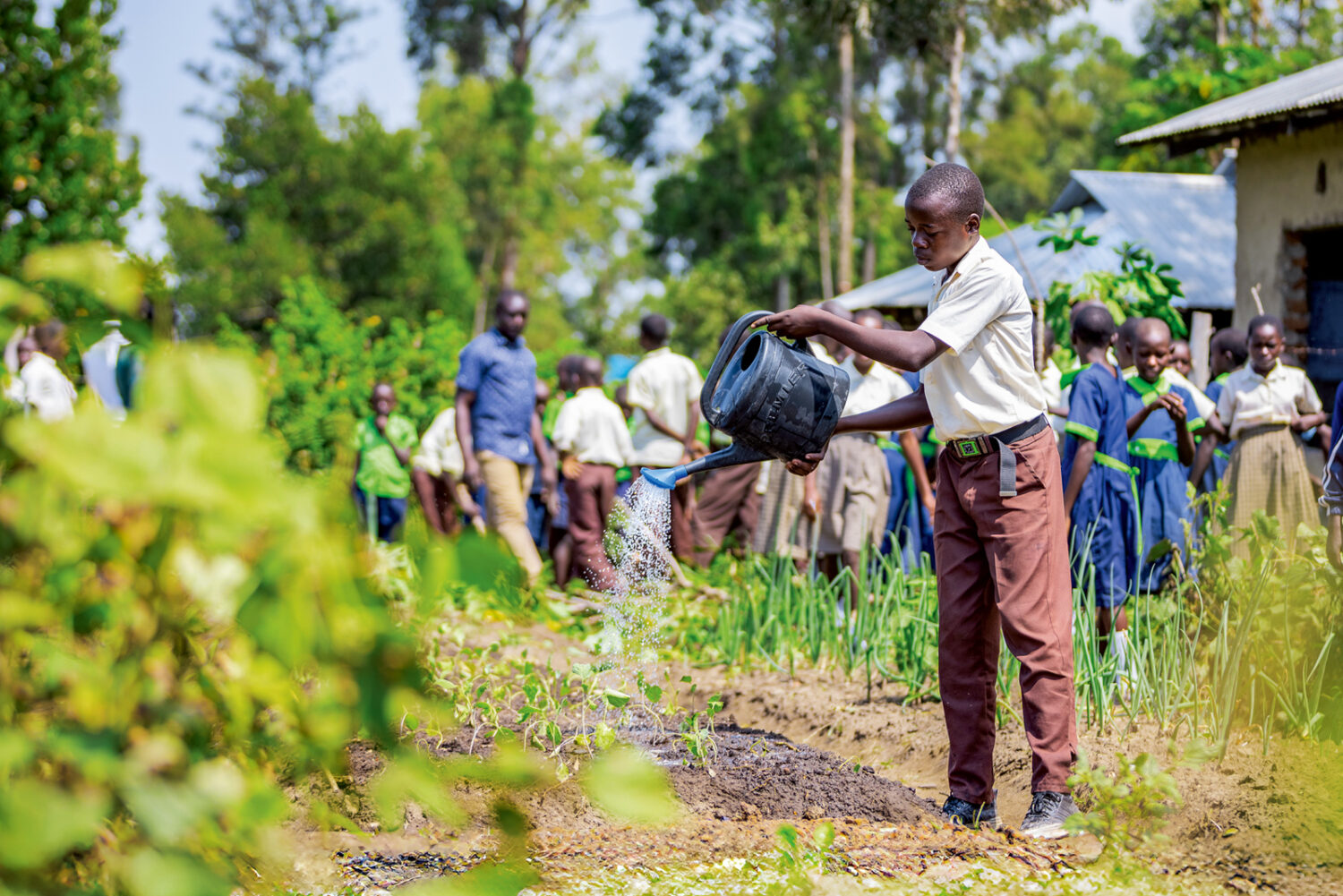 Kenya:  Orti scolastici per imparare a mangiare sano