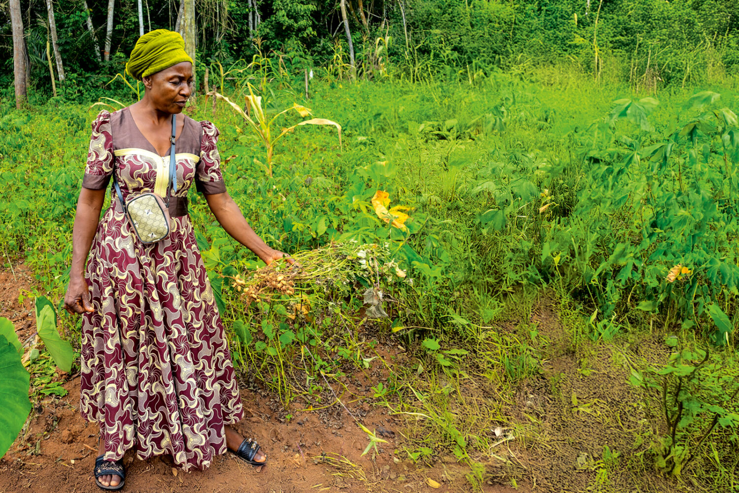 Camerun :  Dai semi tradizionali nasce la speranza