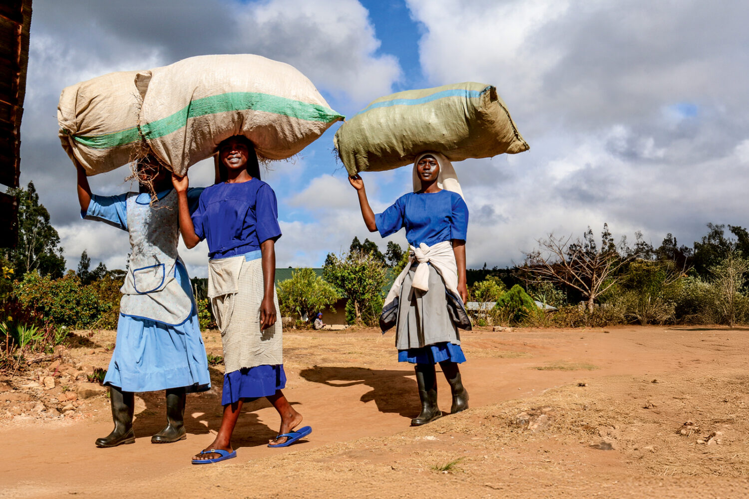 Tanzania:   Il cambiamento climatico mette a rischio l’orto del convento